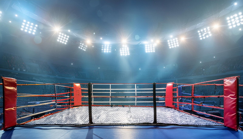 MMA ブックメーカー情報